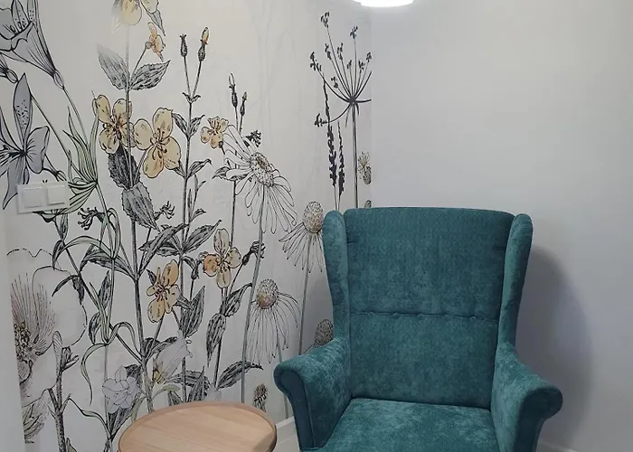 Przytulnie 公寓 Lądek-Zdrój